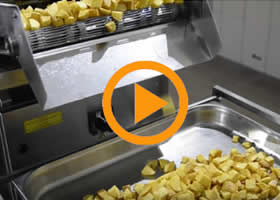Continuous Fryer Machine Video 1